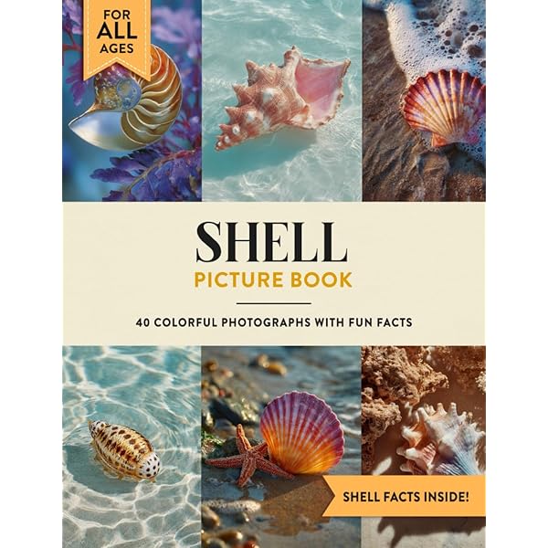 The Encyclopedia of Shells: Wye, Kenneth R.: 9780785812333: Amazon